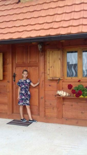 Отель Lodge Nikolic  Шљивовица